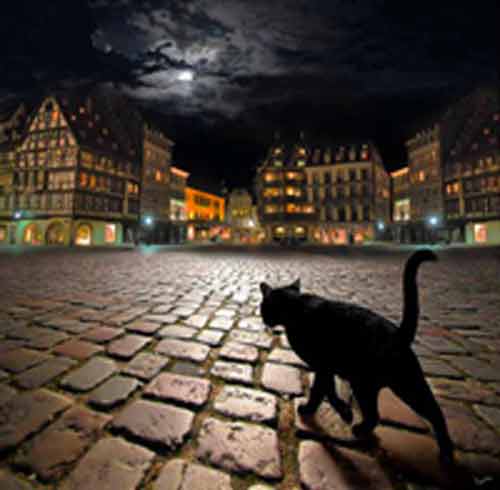 Signification Reves tenebres nuit-chat