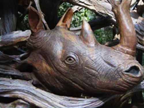 Signification Reve rhinoceros-Paul-Baliker-6